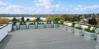 a roof terrace with potted plants on it at The Loop at Green Lake, Seattle, WA, 98115
